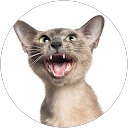 nEXUUU profile picture